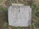 image of grave number 235047